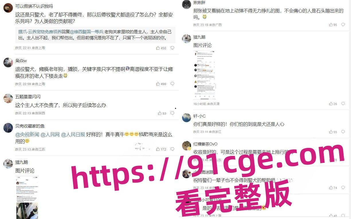 上海抓狗行动特警撬锁 只为抓捕16岁退瘫痪役警犬！-7