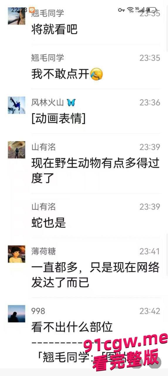 男子去西藏旅游被狗熊袭击,脸都吃没了血腥现场视频曝光!-8