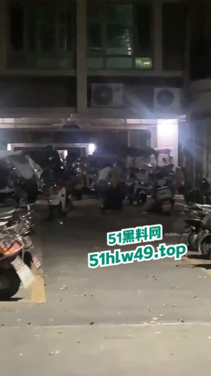 广东汕头肥猪女捉奸,小三车上涂鸦带人当街殴打,肥婆已被逮捕求谅解只能净身出户。-5